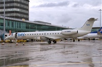 Javier de la Cruz - CANARY ISLANDS SPOTTING. Click to see full size photo