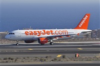 Miguel A. gueda Rguez.  (CANARY ISLANDS SPOTTING). Click to see full size photo