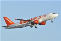 Miguel A. gueda Rguez.  (CANARY ISLANDS SPOTTING). Click to see full size photo