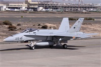 Alfonso Sols - Asociacin Canary Islands Spotting. Click to see full size photo