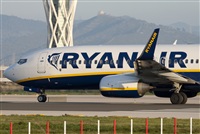 Miguel Alia - Noisy Spotters. Click to see full size photo