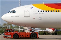 H.volar. Click to see full size photo