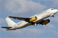 Rubn Gil - Noisy Spotters. Click to see full size photo