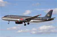 Miguel Alia - Noisy Spotters. Click to see full size photo