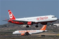 Alfonso Sols - Asociacin Canary Islands Spotting. Click to see full size photo