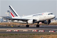 Javier de la Cruz - CANARY ISLANDS SPOTTING. Click to see full size photo