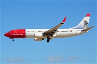 Miguel A. gueda Rguez.  (CANARY ISLANDS SPOTTING). Haz click para ampliar