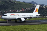 ©Alfonso Solís - Asociación Canary Islands Spotting. Click to see full size photo ©Alfonso Solís - Asociación Canary Islands Spotting. Click to see full size photo