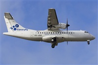 Saimon J Rodriguez   -   Canary Islands Spotting. Click to see full size photo