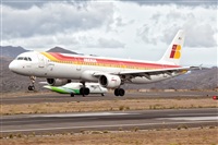 Javier de la Cruz - CANARY ISLANDS SPOTTING. Click to see full size photo