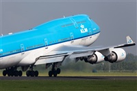 Miguel Alia - Noisy Spotters. Click to see full size photo