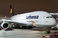 Rubn Gil - Noisy Spotters. Click to see full size photo