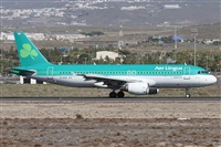 ©Alfonso Solís - Asociación Canary Islands Spotting. Click to see full size photo ©Alfonso Solís - Asociación Canary Islands Spotting. Click to see full size photo