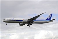 Miguel A. gueda Rguez.  (CANARY ISLANDS SPOTTING). Haz click para ampliar