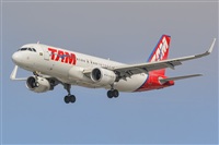 Naoto Goto - South American Spotters Asu-Py. Click to see full size photo