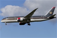 Rubn Gil - Noisy Spotters. Click to see full size photo