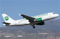 ©Alfonso Solís - Asociación Canary Islands Spotting. Click to see full size photo ©Alfonso Solís - Asociación Canary Islands Spotting. Click to see full size photo