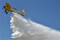 ©Daniel Cortiñas - Coruña Spotters. Click to see full size photo ©Daniel Cortiñas - Coruña Spotters. Click to see full size photo