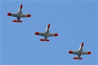 Adrin Alonso Lemes - Lanzarote Spotters. Haz click para ampliar
