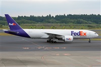 Miguel A. gueda Rguez.  (CANARY ISLANDS SPOTTING). Click to see full size photo