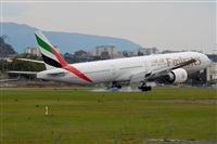 Miguel A. gueda Rguez.  (CANARY ISLANDS SPOTTING). Click to see full size photo