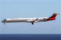 Alfonso Sols - Asociacin Canary Islands Spotting. Click to see full size photo