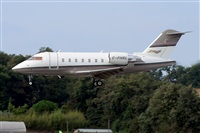 Miguel A. gueda Rguez.  (CANARY ISLANDS SPOTTING). Haz click para ampliar