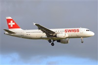 Miguel A. gueda Rguez.  (CANARY ISLANDS SPOTTING). Click to see full size photo