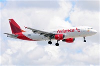 Miguel A. gueda Rguez.  (CANARY ISLANDS SPOTTING). Click to see full size photo