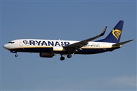 Alfonso Sols - Asociacin Canary Islands Spotting. Click to see full size photo