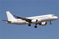 Alfonso Sols - Asociacin Canary Islands Spotting. Haz click para ampliar