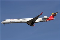 Alfonso Sols - Asociacin Canary Islands Spotting. Click to see full size photo