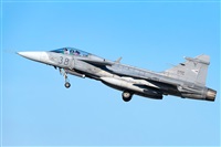 Tams. Click to see full size photo