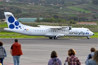 Miguel A. gueda Rguez.  (CANARY ISLANDS SPOTTING). Click to see full size photo
