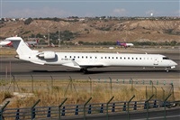 Alfonso Sols - Asociacin Canary Islands Spotting. Click to see full size photo