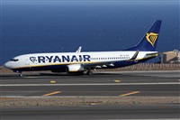 Alfonso Sols - Asociacin Canary Islands Spotting. Click to see full size photo