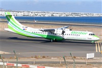 Miguel A. gueda Rguez.  (CANARY ISLANDS SPOTTING). Click to see full size photo
