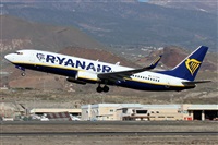 Alfonso Sols - Asociacin Canary Islands Spotting. Click to see full size photo