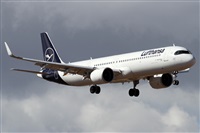 Alfonso Sols - Asociacin Canary Islands Spotting. Click to see full size photo