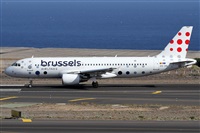 ©Alfonso Solís - Asociación Canary Islands Spotting. Click to see full size photo ©Alfonso Solís - Asociación Canary Islands Spotting. Click to see full size photo