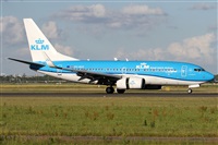 ©Alfonso Solís - Asociación Canary Islands Spotting. Click to see full size photo ©Alfonso Solís - Asociación Canary Islands Spotting. Click to see full size photo