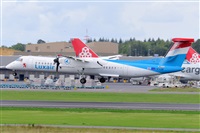 Miguel A. gueda Rguez.  (CANARY ISLANDS SPOTTING). Click to see full size photo