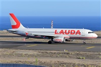 Miguel A. gueda Rguez.  (CANARY ISLANDS SPOTTING). Click to see full size photo