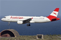 Adolfo Bento - Gran Canaria Spotters. Click to see full size photo