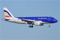 Miguel A. gueda Rguez.  (CANARY ISLANDS SPOTTING). Click to see full size photo