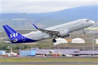 Miguel A. gueda Rguez.  (CANARY ISLANDS SPOTTING). Click to see full size photo