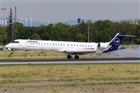 Miguel A. gueda Rguez.  (CANARY ISLANDS SPOTTING). Click to see full size photo