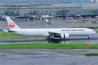 Miguel A. gueda Rguez.  (CANARY ISLANDS SPOTTING). Click to see full size photo
