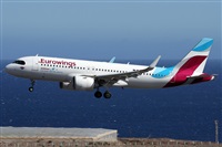 ©Alfonso Solís - Asociación Canary Islands Spotting. Click to see full size photo ©Alfonso Solís - Asociación Canary Islands Spotting. Click to see full size photo