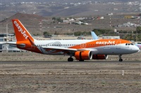 Alfonso Sols - Asociacin Canary Islands Spotting. Haz click para ampliar
